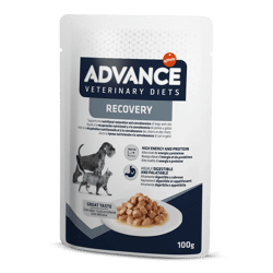 Advance Dog&Cat Vet Diets Recovery