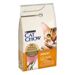 Purina Cat Chow Adult - Salmone - 1.5kg