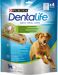 Dentalife -  Large 142g