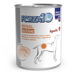 Forza10 Actiwet - Renal - 390 g 