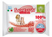 Salviett In - Clorexidina - 100pz (30x15)