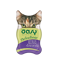 Oasy Wet Cat DELICATESSE - Paté con Tacchino - 85g