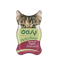 Oasy Wet Cat DELICATESSE - Paté con Fegato - 85g