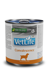 VET LIFE Natural Dog - Convalescence - 300g 