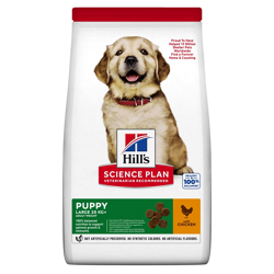 Hill's Science Plan Puppy Pollo - Large - 2.5kg