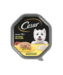 Cesar Senior 10+ -Pollo e Riso in Gelatina-150g