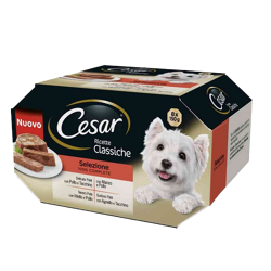 Cesar MultiPack  Ricette Classiche-8 Pz