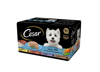 Cesar Senior 10+ In Gelatina Multipack-8 Pz