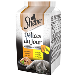 Sheba Cat Delice du Jour -Tacchino e Pollo in Gelatina -6x50g