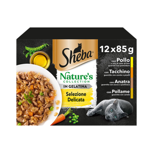 Sheba Nature's Collection, Selezione Delicata in Gelatina, 12x85g