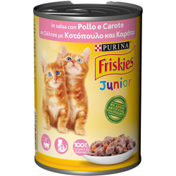 Friskies Junior - Pollo e Carote -400g