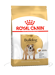 Royal Canin Adult Breed Bulldog-3kg