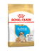 Royal Canin Puppy Breed Bulldog-3kg