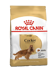 Royal Canin Adult Breed Cocker-12kg
