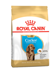 Royal Canin Puppy Breed Cocker-3kg