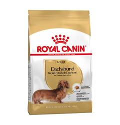 Royal Canin Adult Breed Dachshund-7.5kg