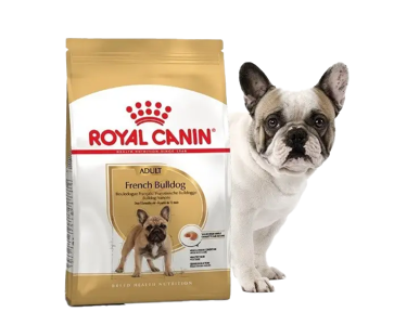 Royal Canin Adult French Bulldog, 1,5kg