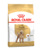 Royal Canin Adult Breed Barboncino-7.5kg