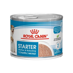 Royal Canin Starter Mousse-195g
