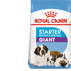 Royal Canin Giant Starter Mother & Babydog-15kg
