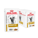 Royal Canin Urinary S/O In Salsa-12x85g