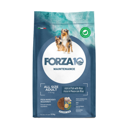 Forza10 Maintenance Adult Pesce e Riso - All Breeds - 12kg