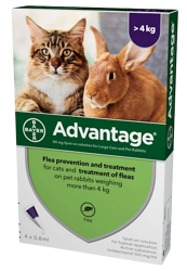 Advantage Spot On 80 Gatti oltre 4kg