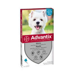 Advantix da 4kg a 10kg - 1 Pipetta