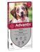 Advantix Da 10kg a 25Kg - 4 Pipette