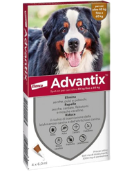 Advantix Da 40kg a 60kg - 4 Pipette