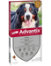 Advantix Da 40kg a 60kg - 4 Pipette
