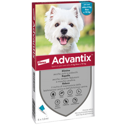 Advantix Da 4kg a 10kg - 6 Pipette