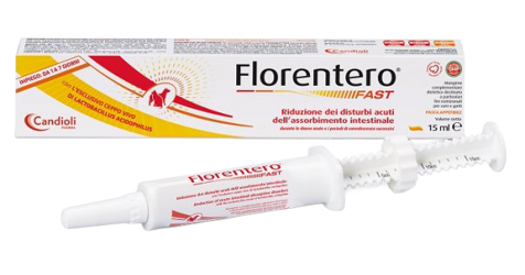 Florentero Fast Pasta
