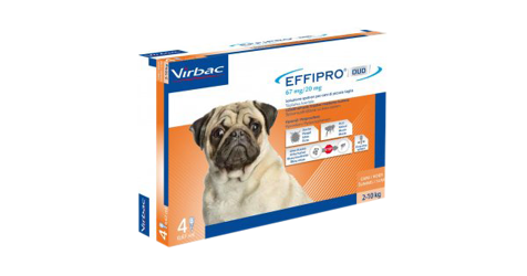 Effipro Duo Cane - Small
