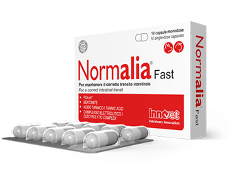 Normalia Fast- 10 Capsule