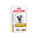 Royal Canin Urinary S/O In Salsa-85g