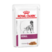 Royal Canin Early Renal-100g