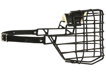 Museruola Ceca-Rottweiler-Femmina