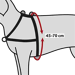 Trixie Pettorina da Addestramento Lead'n'Walk Soft-S/M