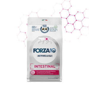 Forza10 Active Intestinal, 400 g