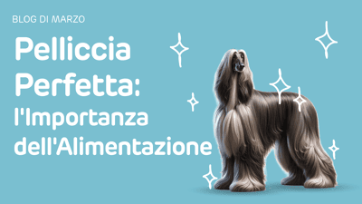 main-banner